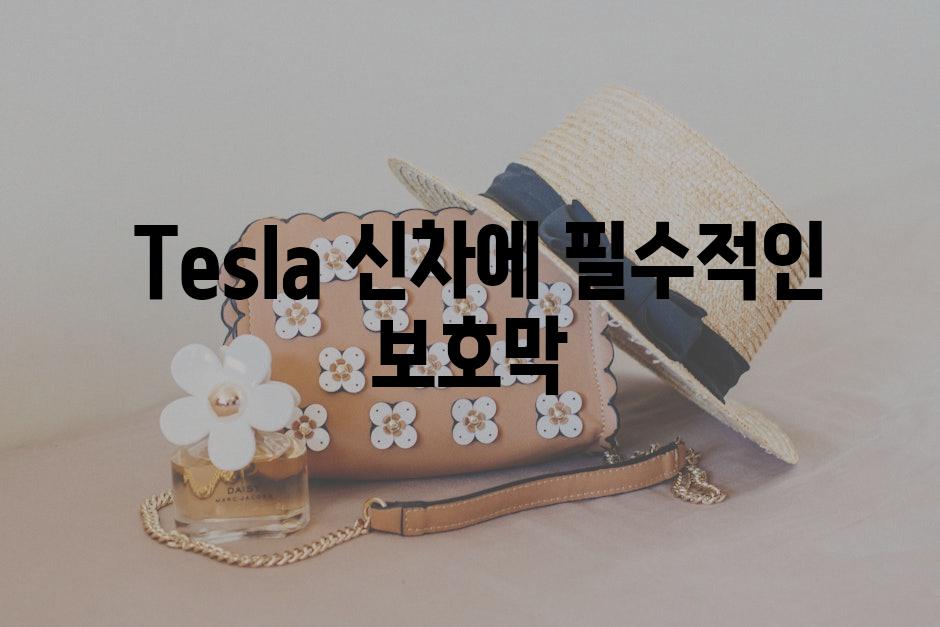 Tesla 신차에 필수적인 보호막