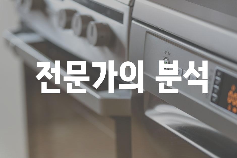  전문가의 분석