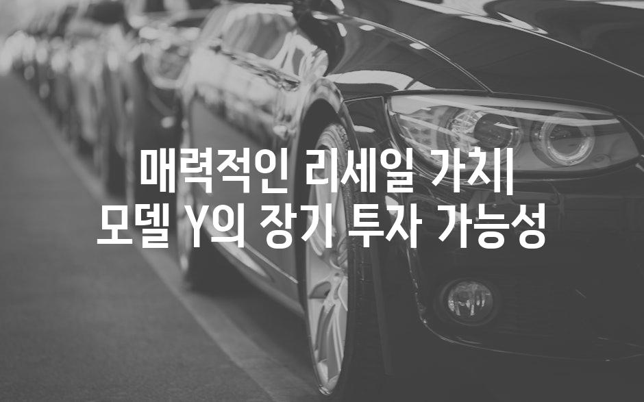  매력적인 리세일 가치| 모델 Y의 장기 투자 가능성