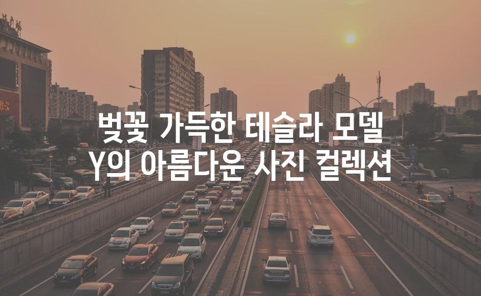 이미지_설명