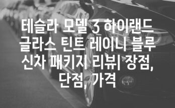 테슬라 모델 3 하이랜드 글라스 틴트 레이니 블루 신차 패키지 리뷰| 장점, 단점, 가격