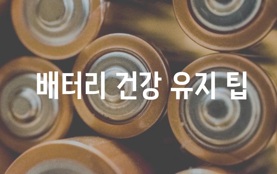  배터리 건강 유지 팁