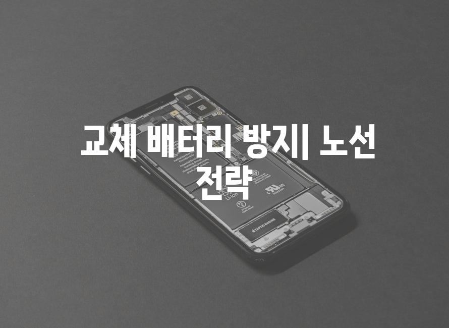  교체 배터리 방지| 노선 전략