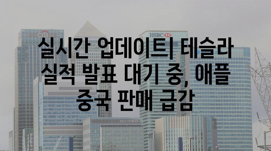 이미지_설명