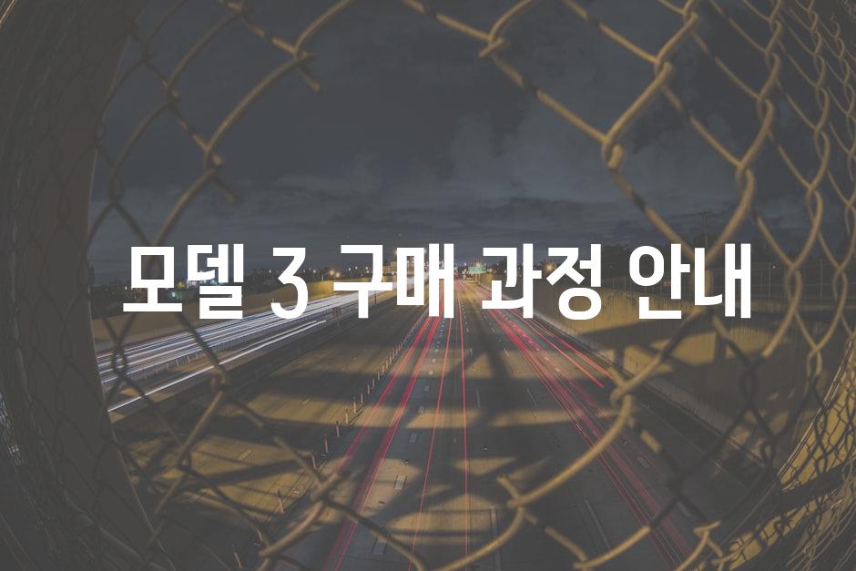 모델 3 구매 과정 안내