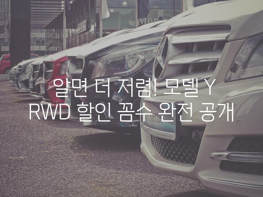  알면 더 저렴! 모델 Y RWD 할인 꼼수 완전 공개