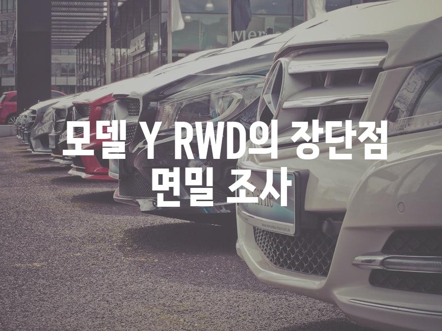  모델 Y RWD의 장단점 면밀 조사