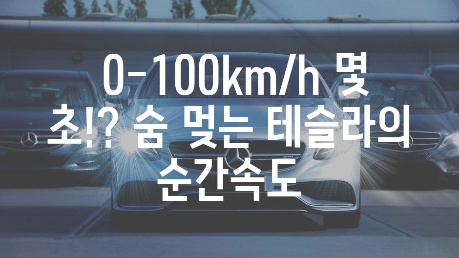  0-100km/h 몇 초!? 숨 멎는 테슬라의 순간속도