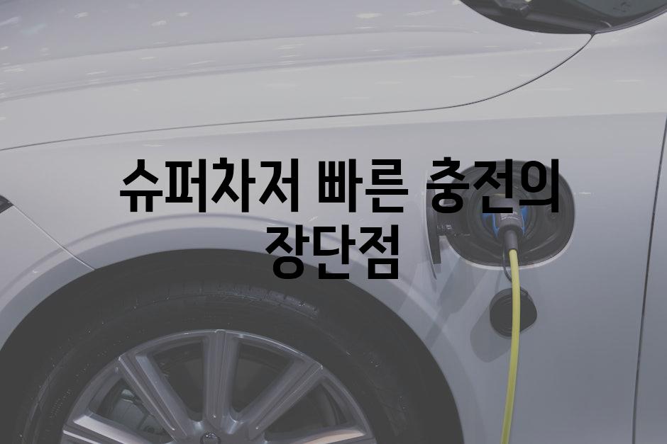  슈퍼차저 빠른 충전의 장단점