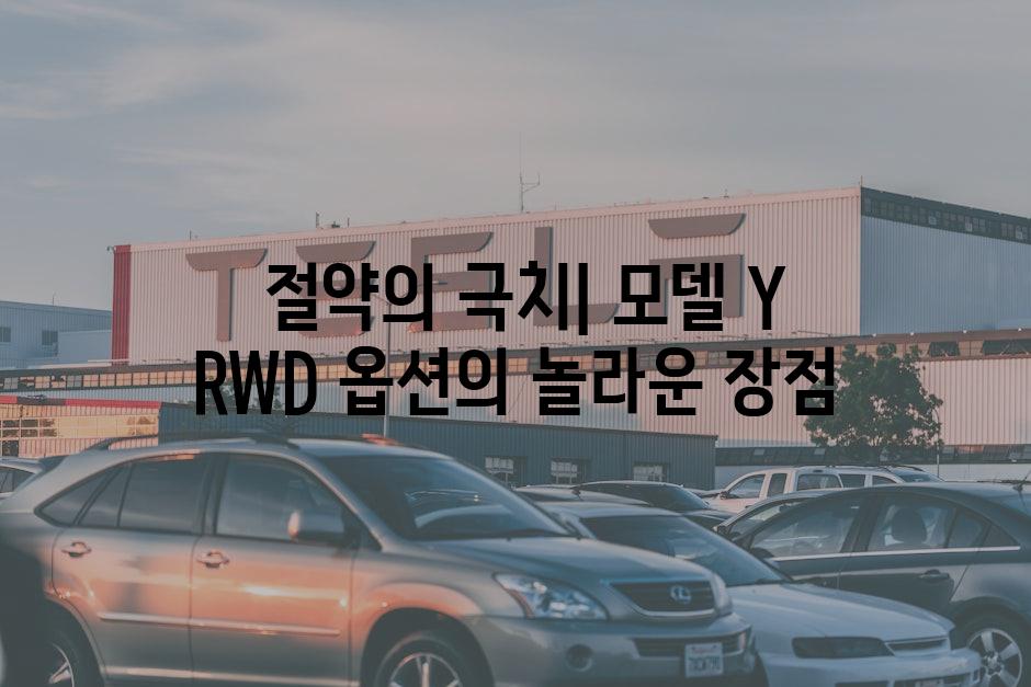  절약의 극치| 모델 Y RWD 옵션의 놀라운 장점