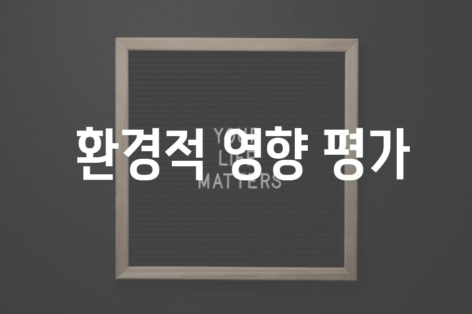  환경적 영향 평가