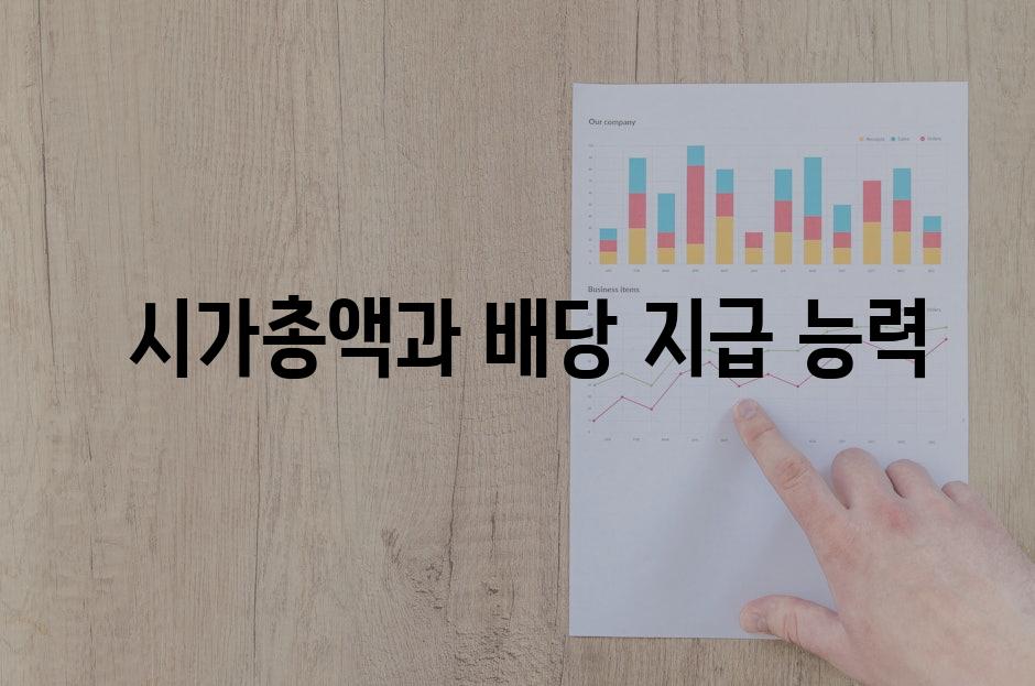  시가총액과 배당 지급 능력