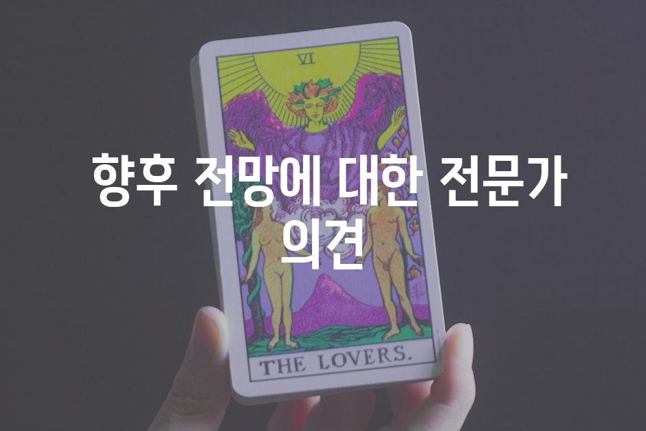  향후 전망에 대한 전문가 의견