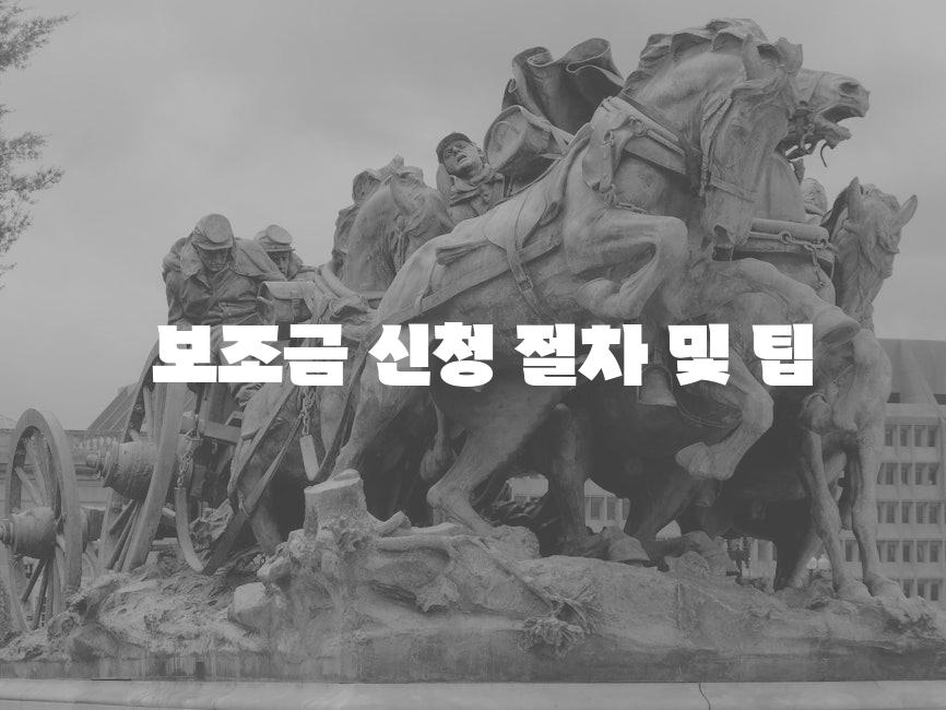  보조금 신청 절차 및 팁