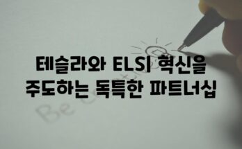 테슬라와 ELS| 혁신을 주도하는 독특한 파트너십