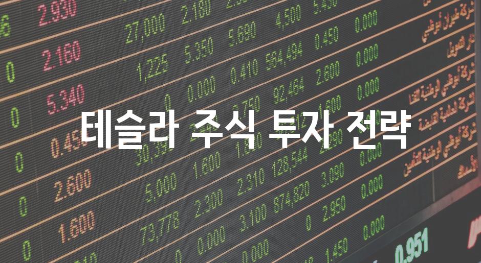  테슬라 주식 투자 전략