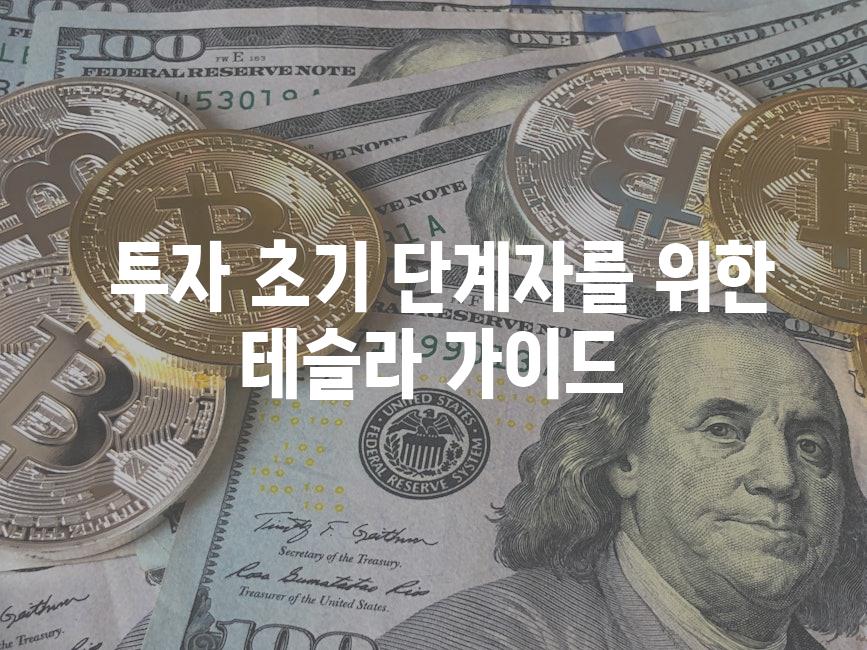  전문가 팁으로 시작하는 테슬라 투자