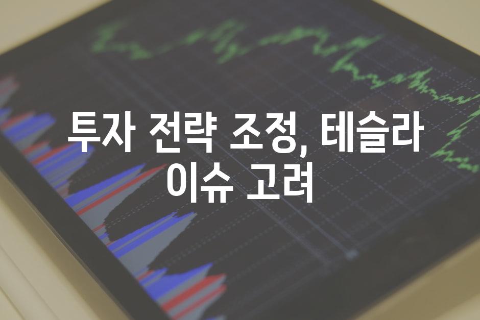 투자 전략 조정, 테슬라 이슈 고려