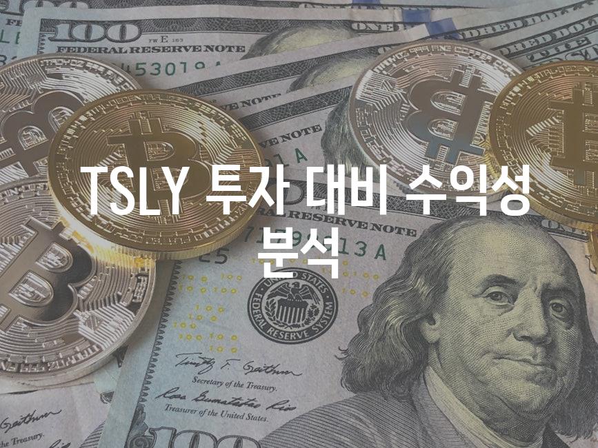  TSLY 투자 대비 수익성 분석