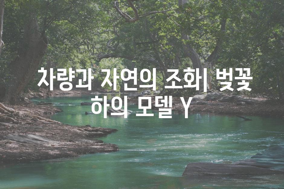  차량과 자연의 조화| 벚꽃 하의 모델 Y