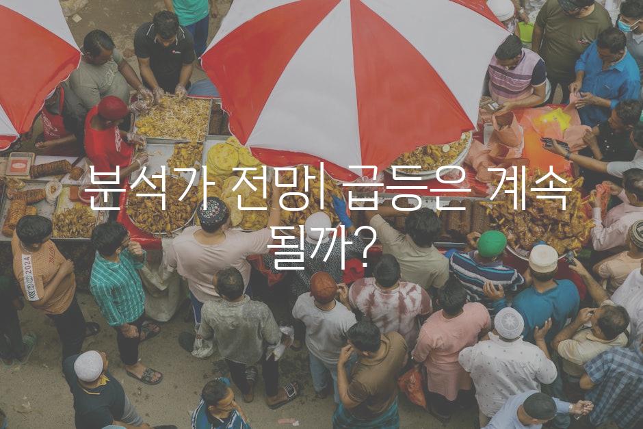  분석가 전망| 급등은 계속 될까?