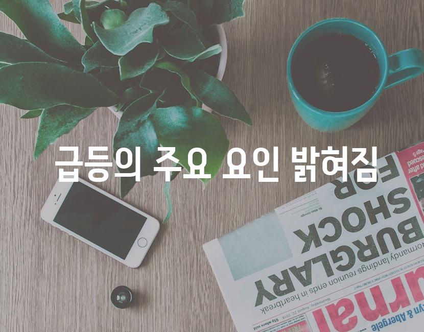 급등의 주요 요인 밝혀짐