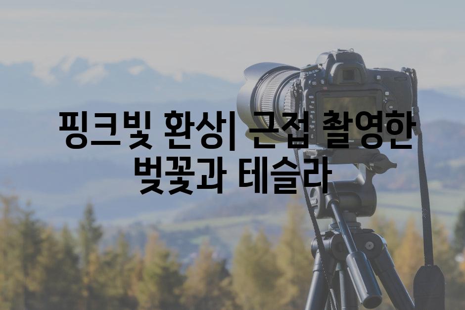  핑크빛 환상| 근접 촬영한 벚꽃과 테슬라