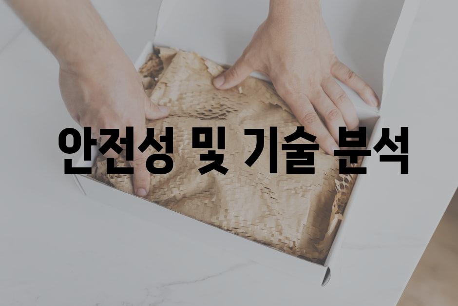  안전성 및 기술 분석