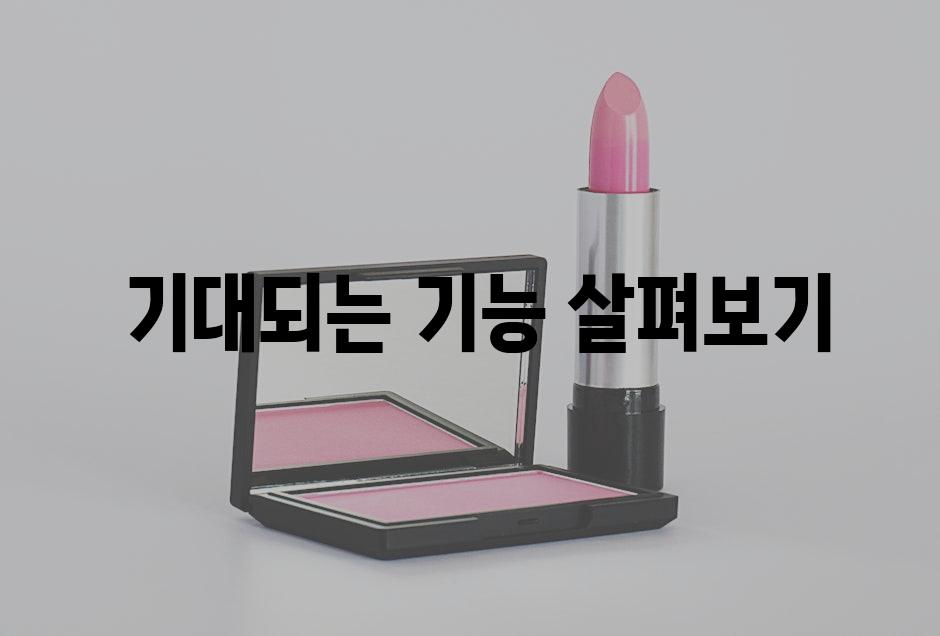  기대되는 기능 살펴보기