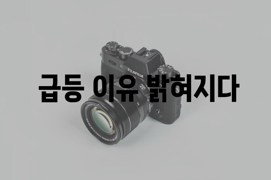  급등 이유 밝혀지다