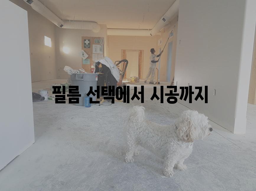  필름 선택에서 시공까지