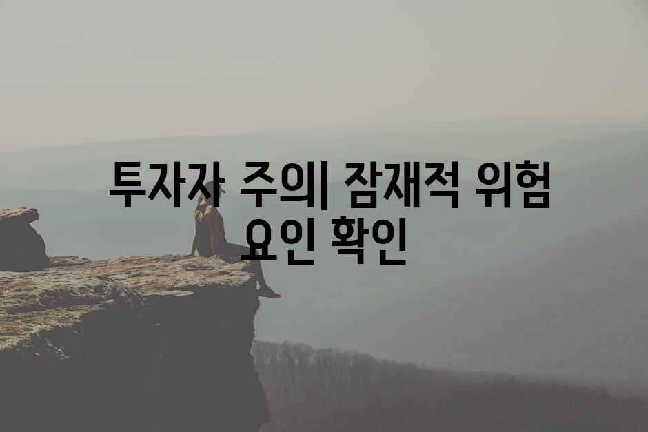  투자자 주의| 잠재적 위험 요인 확인