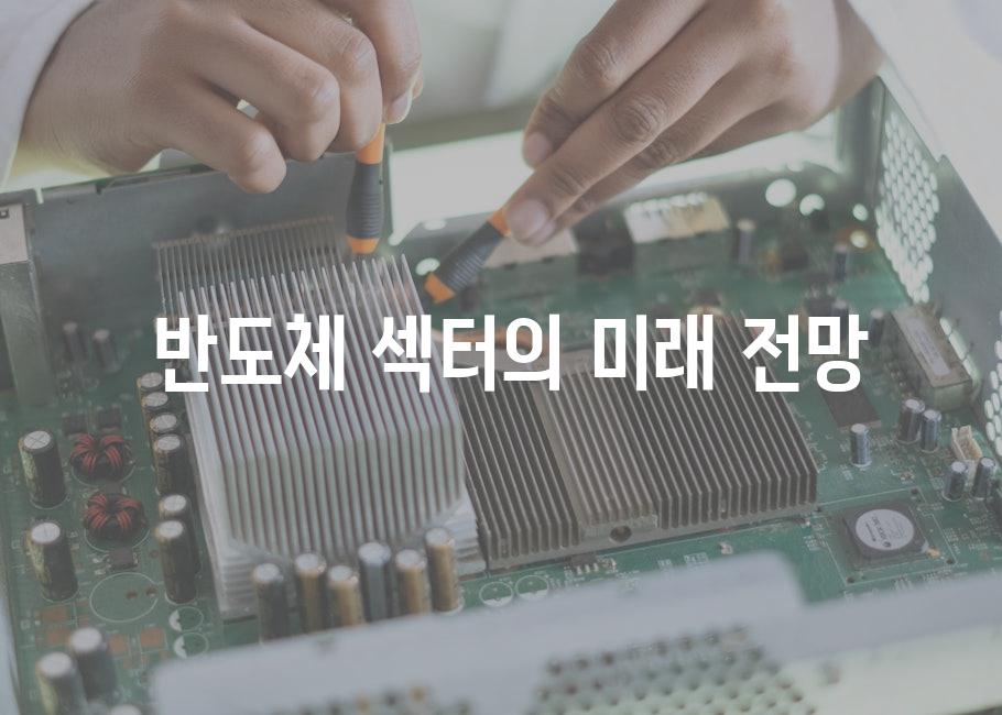  반도체 섹터의 미래 전망