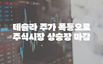 테슬라 주가 폭등으로 주식시장 상승장 마감