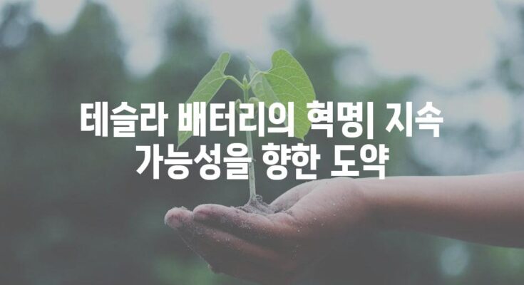 테슬라 배터리의 혁명| 지속 가능성을 향한 도약