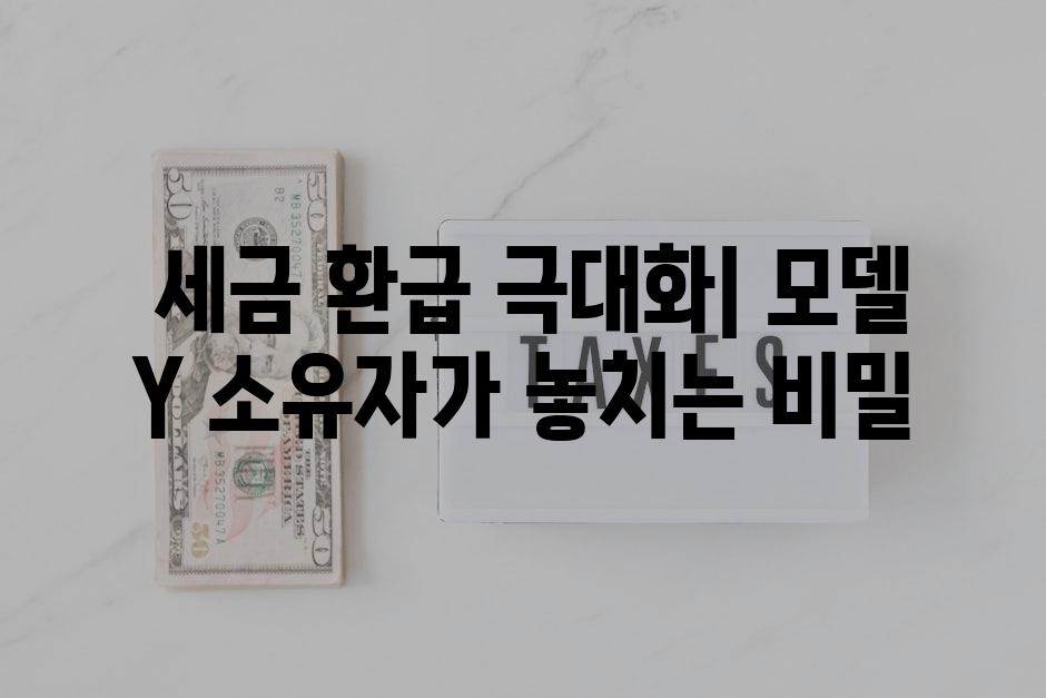  세금 환급 극대화| 모델 Y 소유자가 놓치는 비밀