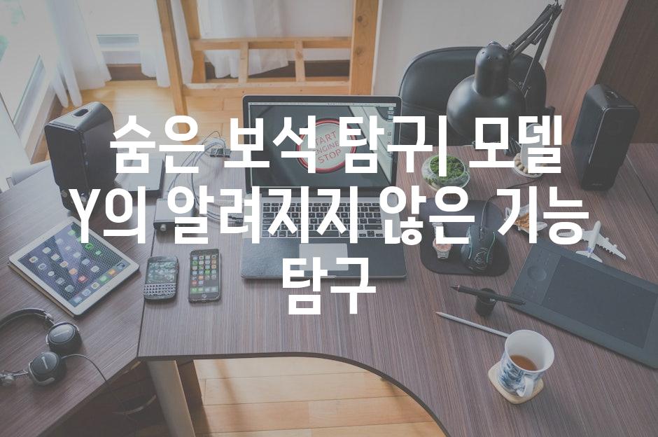  숨은 보석 탐구| 모델 Y의 알려지지 않은 기능 탐구