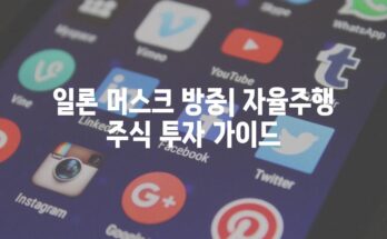 일론 머스크 방중| 자율주행 주식 투자 가이드