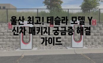 울산 최고! 테슬라 모델 Y 신차 패키지 궁금증 해결 가이드