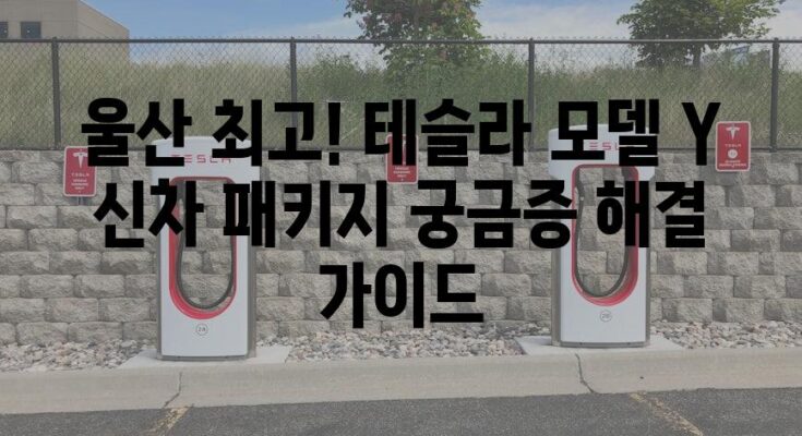 울산 최고! 테슬라 모델 Y 신차 패키지 궁금증 해결 가이드