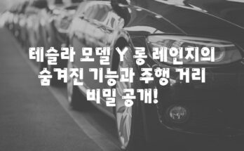 테슬라 모델 Y 롱 레인지의 숨겨진 기능과 주행 거리 비밀 공개!