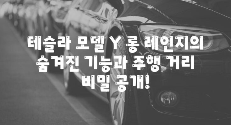 테슬라 모델 Y 롱 레인지의 숨겨진 기능과 주행 거리 비밀 공개!