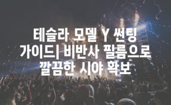 테슬라 모델 Y 썬팅 가이드| 비반사 필름으로 깔끔한 시야 확보