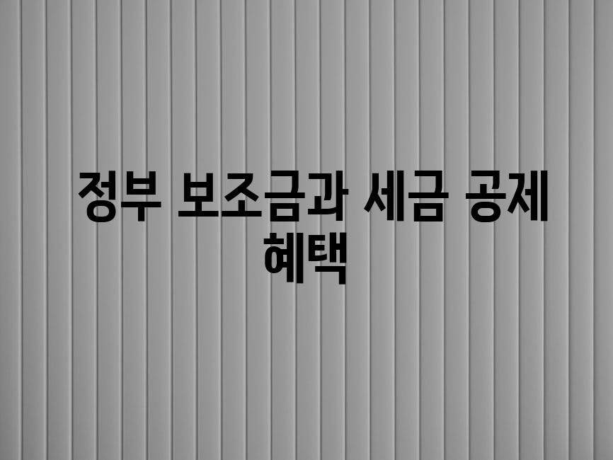  정부 보조금과 세금 공제 혜택