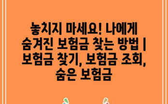 놓치지 마세요! 나에게 숨겨진 보험금 찾는 방법 | 보험금 찾기, 보험금 조회, 숨은 보험금