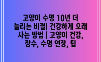 고양이 수명 10년 더 늘리는 비결| 건강하게 오래 사는 방법 | 고양이 건강, 장수, 수명 연장, 팁