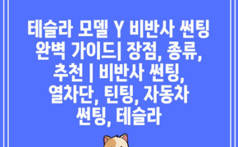 테슬라 모델 Y 비반사 썬팅 완벽 가이드| 장점, 종류, 추천 | 비반사 썬팅, 열차단, 틴팅, 자동차 썬팅, 테슬라