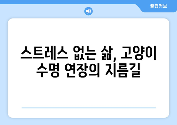 고양이 수명 10년 더 늘리는 비결| 건강하게 오래 사는 방법 | 고양이 건강, 장수, 수명 연장, 팁