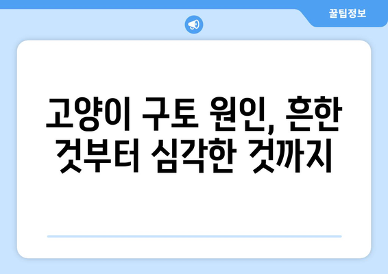 고양이 구토 색깔 해석| 위험 신호 파악하고 예방하세요! | 구토 원인, 증상, 응급처치, 건강 관리