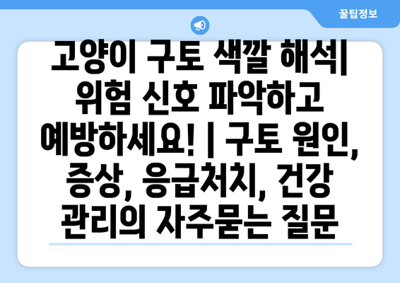 고양이 구토 색깔 해석| 위험 신호 파악하고 예방하세요! | 구토 원인, 증상, 응급처치, 건강 관리